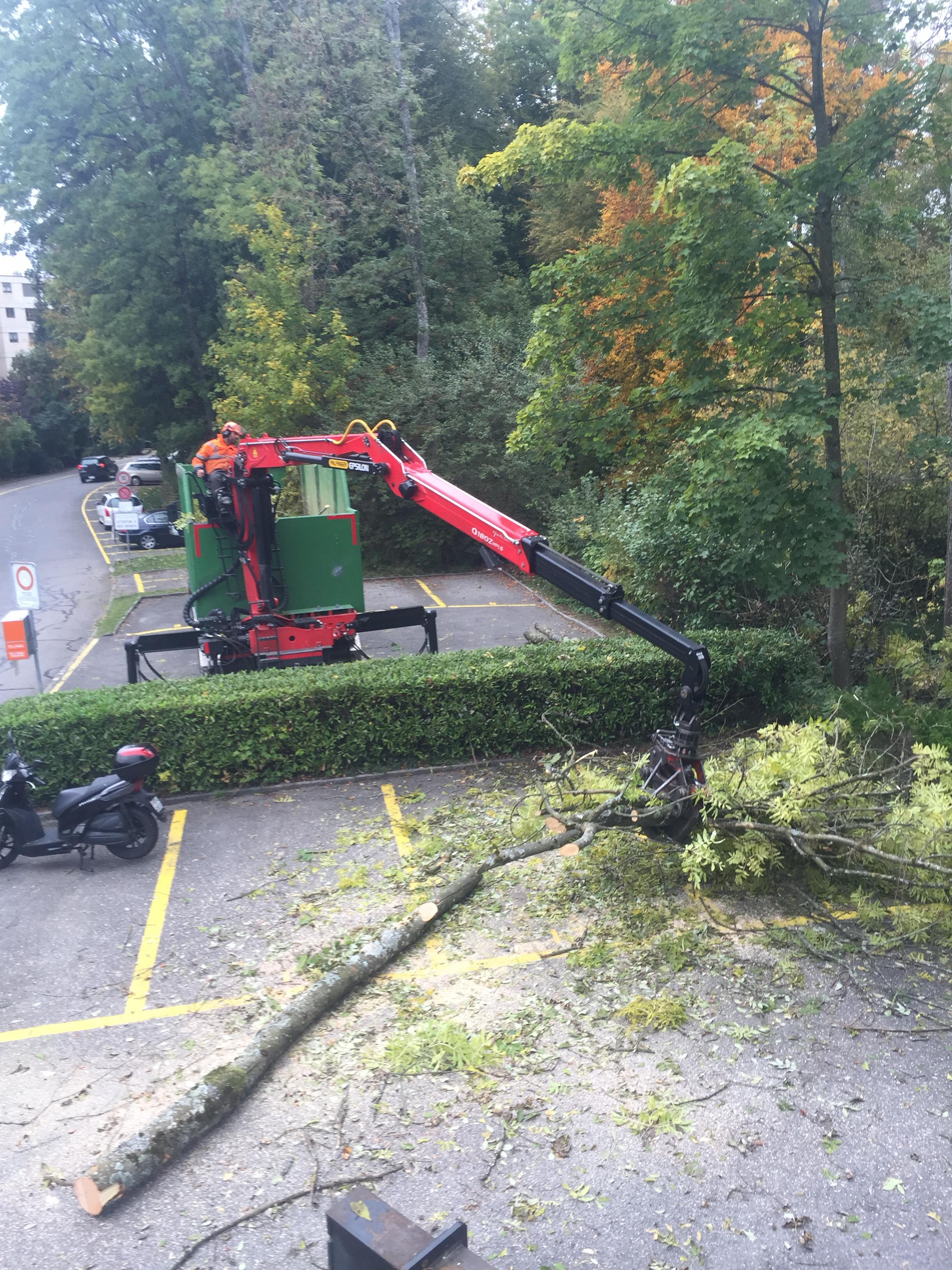 Évacuation de déchets verts par camion grue dans le Jura — SAS POLYVIER